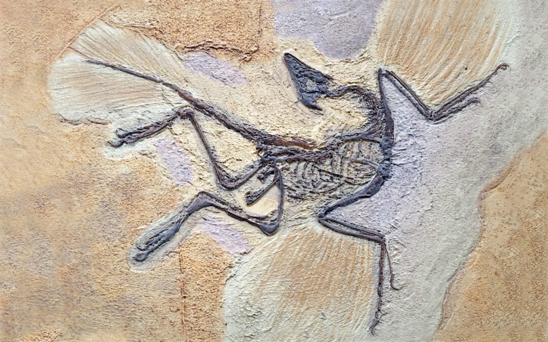 Even National Geographic Was Fooled By This Fake Creature Discovery That Turned Out To Be A Hoax