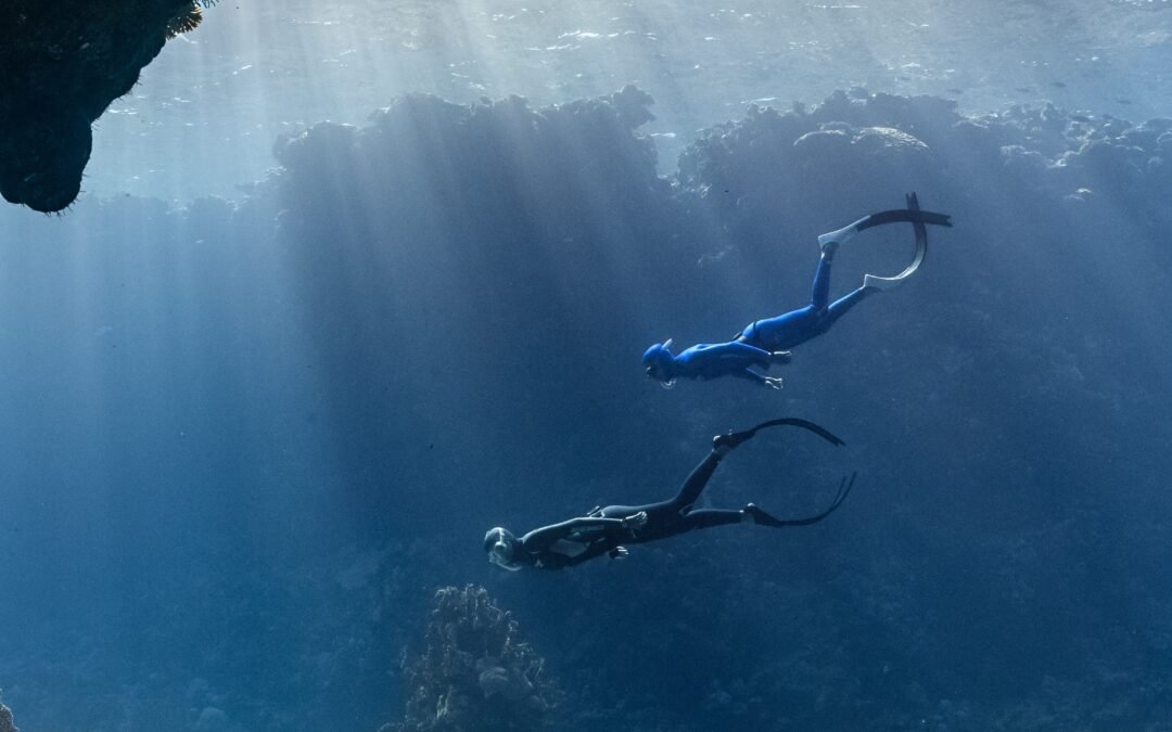 Two Divers Were Left In The Ocean By Australian Dive Company