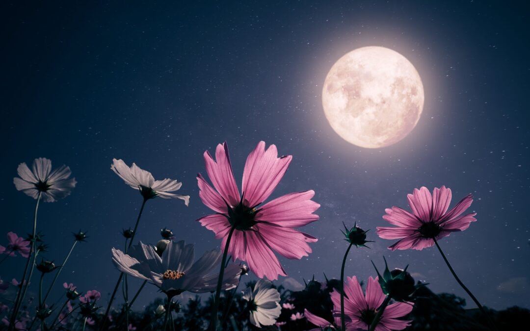 It’s a Pink Moon! Spring’s First Full Moon Set to Rise This Weekend to Mark the Season and Easter Festivities