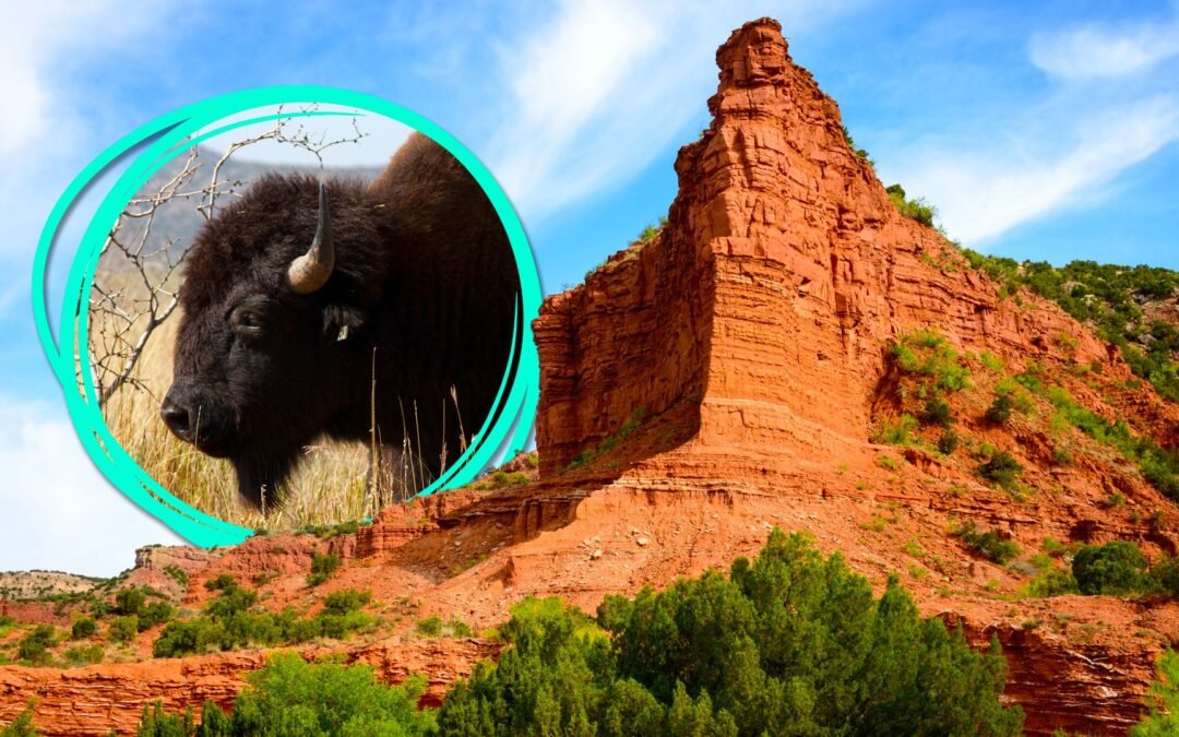 This Little-Known Texas Park Rivals The Grand Canyon With Epic Landscapes