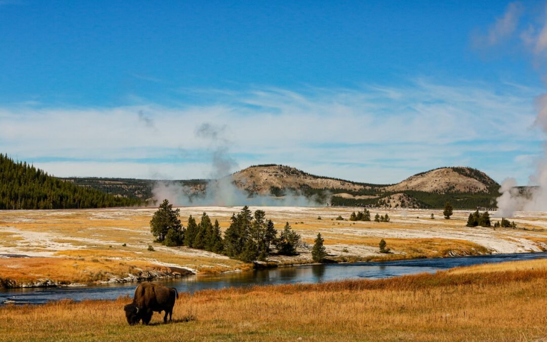 Yellowstone National Park Implements Temporary Ban On Popular Activity, Affecting Thousands Of Visitors 