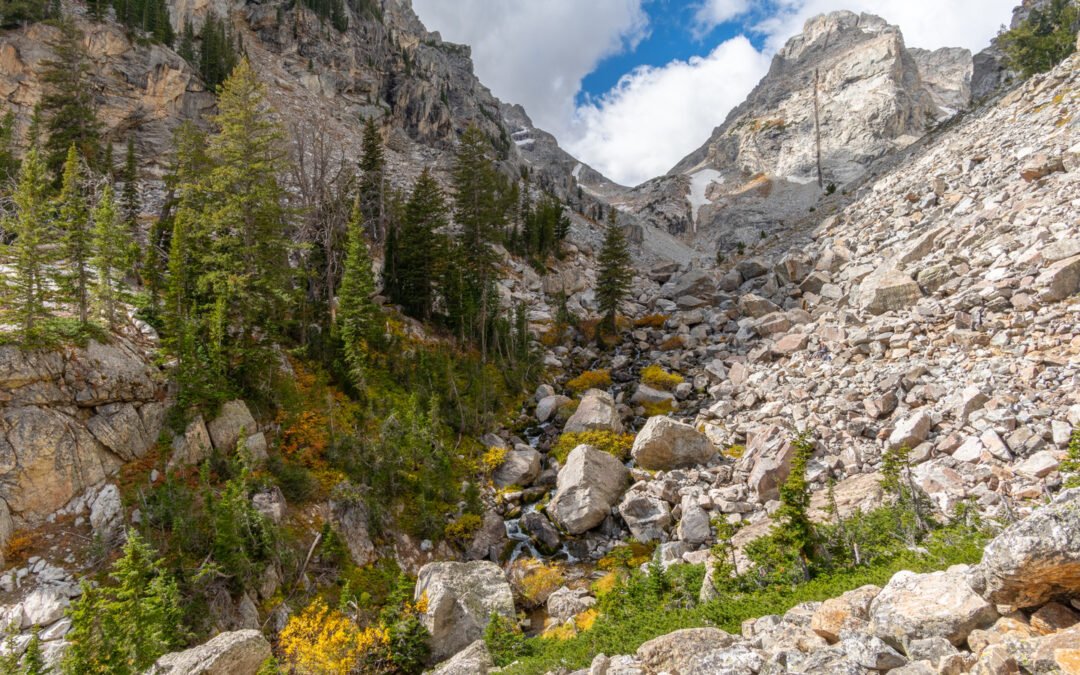 Faces $5,000 Fine And Park Ban After Trying To Smash A Record