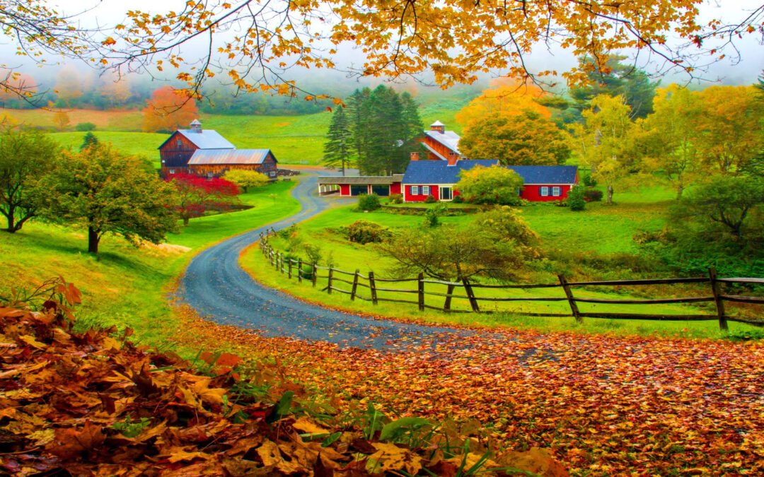 New Map Reveals Where To See Peak Fall Colors Before They Appear