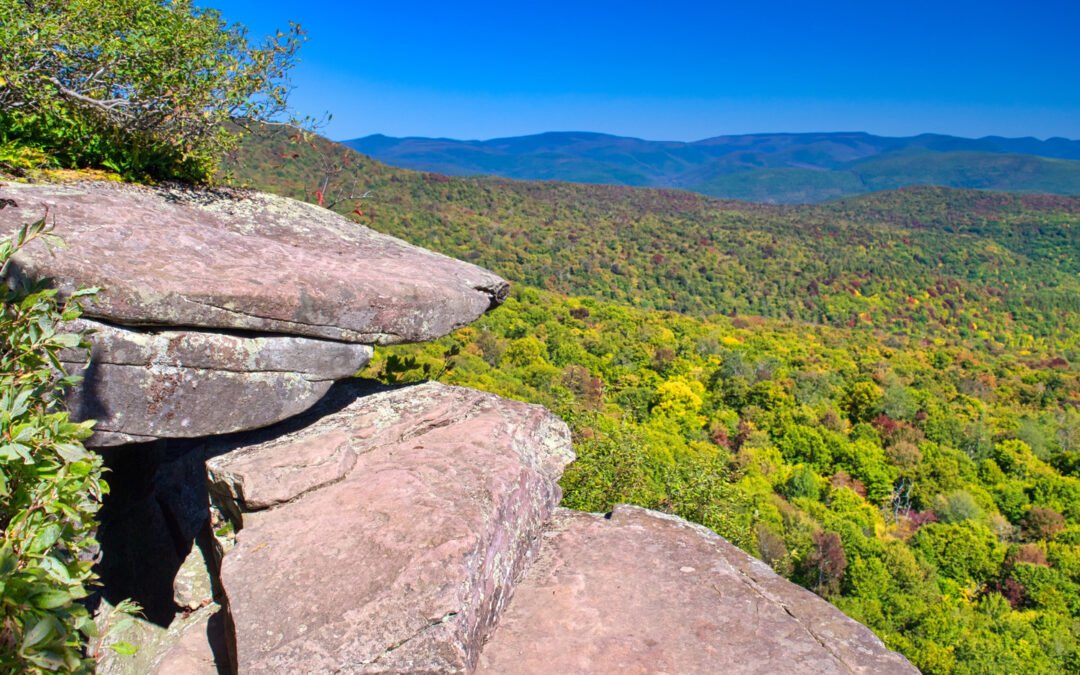 Public Slams Four Hikers Rescued In New York’s Catskill Mountains After “Debilitating” Mushroom High