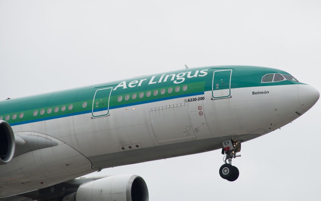 Pilot Disobeys Instructions During Dublin To New York Flight LandingNew York flight landing