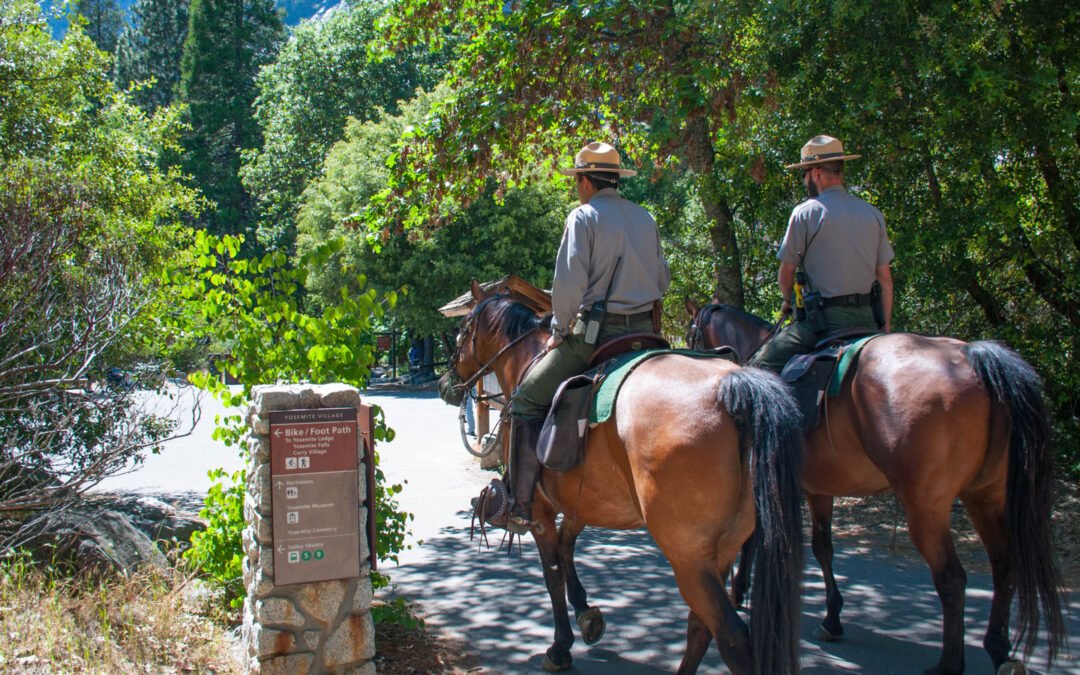 U.S. Department Of Interior Cites Park Ranger Concerns At Yosemite National Park As “Misinformation”