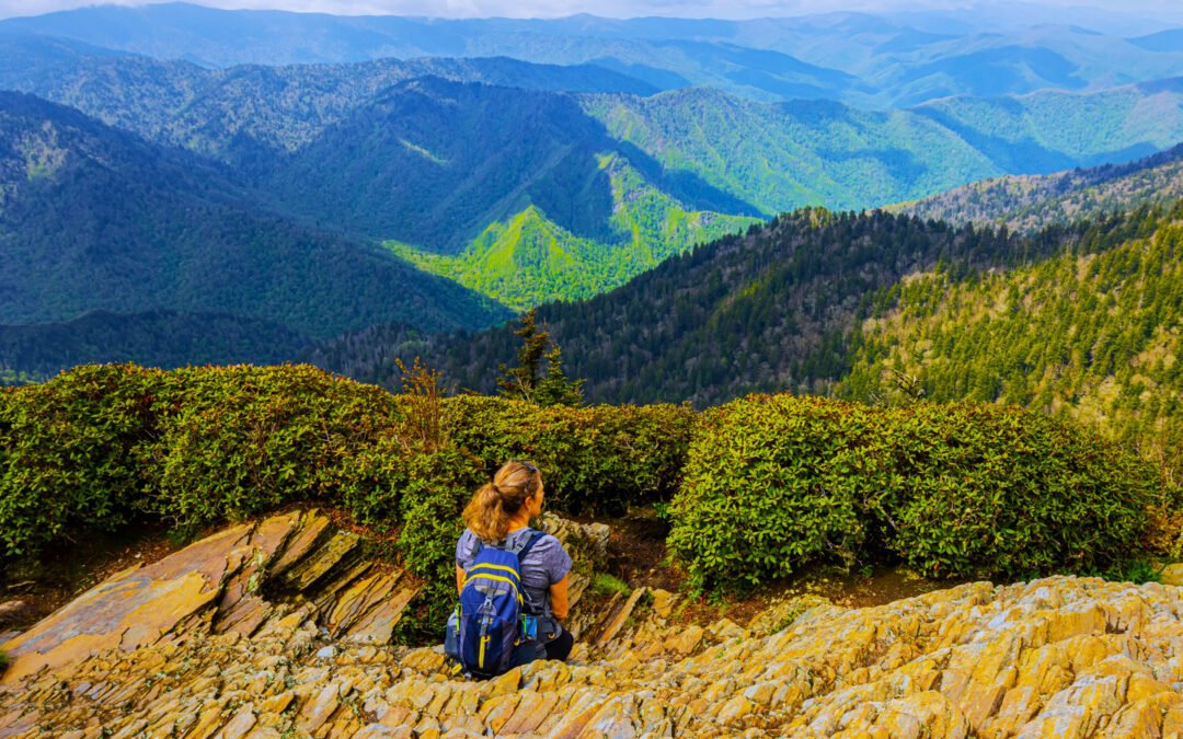 America’s Most Popular National Park Saw Its Worst Record Since 2018, But The Government Shutdown Isn’t To Blame